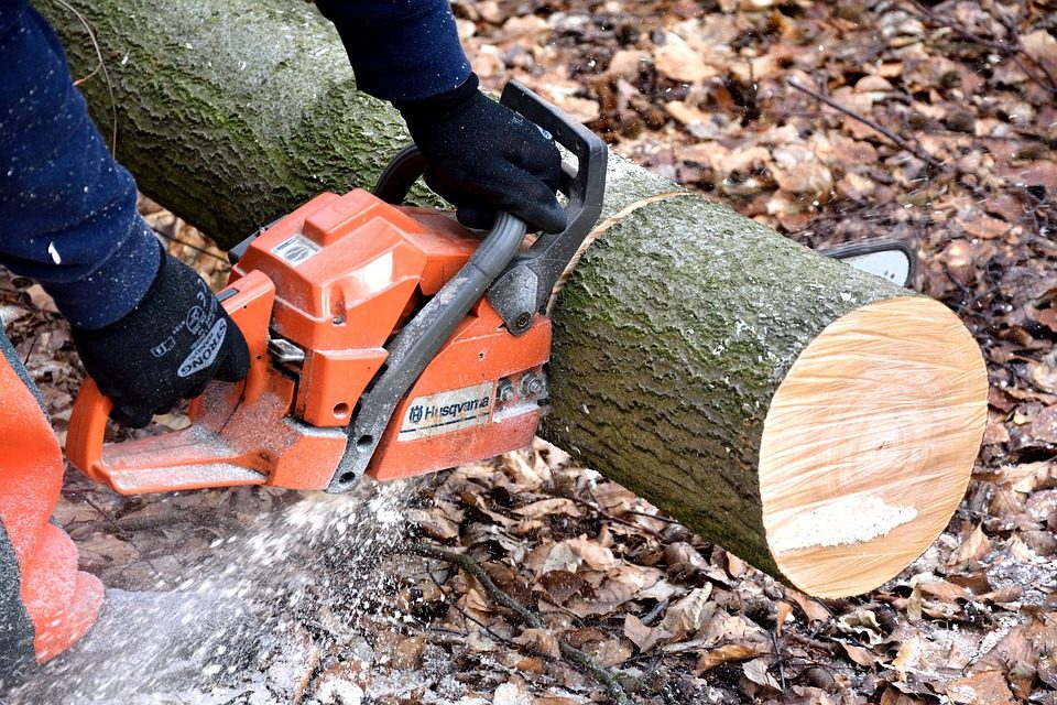 5 Best Services of Chainsaw Rental in 2020 - Post Thumbnail